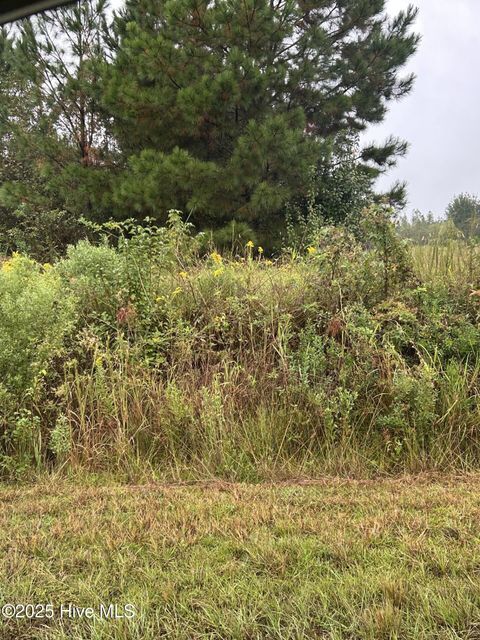 Tiny photo for 1198 Pelham Road, Willard, NC 28478 (MLS # 100533539)