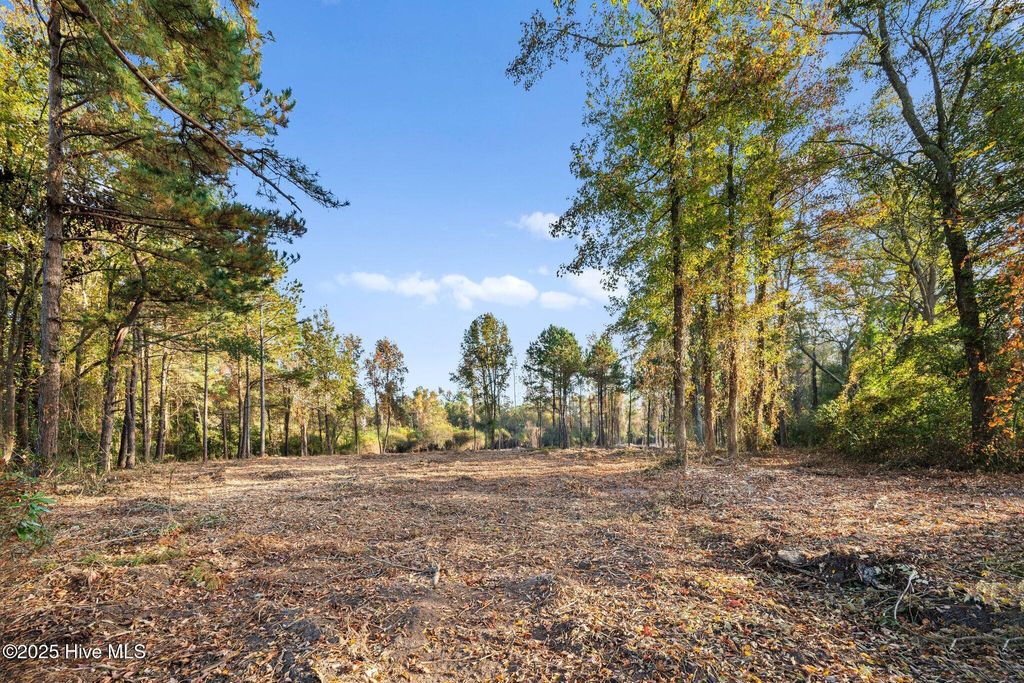 Photo of Lot D Us Hwy 117 S, Burgaw, NC 28425 (MLS # 100543407)