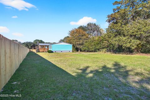Tiny photo for 109 Floyd Pond Lane, Richlands, NC 28574 (MLS # 100540321)