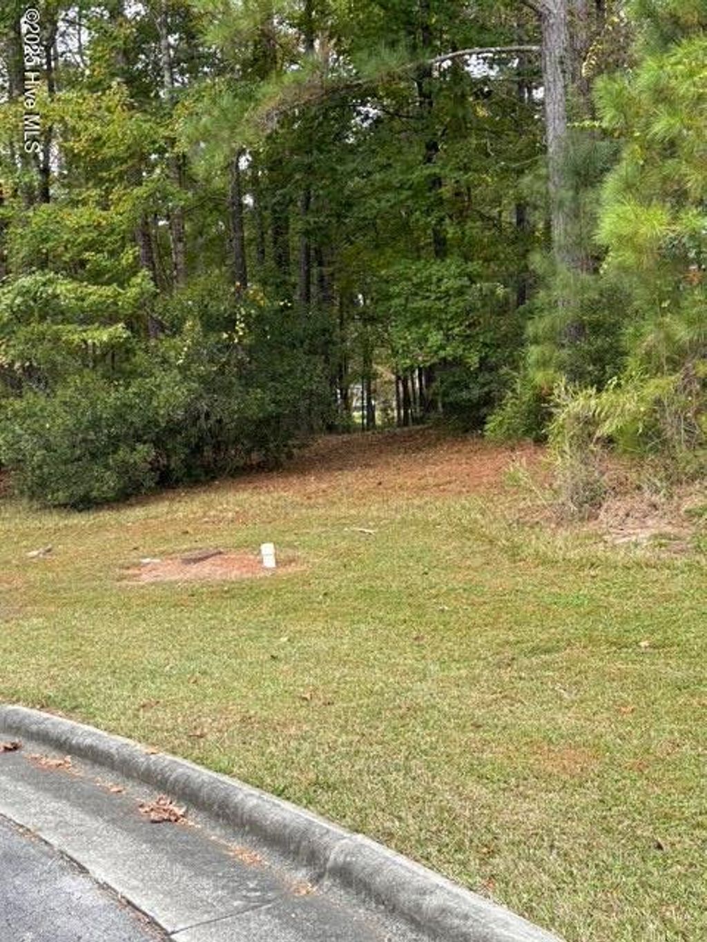 Photo of 3808 Lichen Lane, New Bern, NC 28562 (MLS # 100538300)
