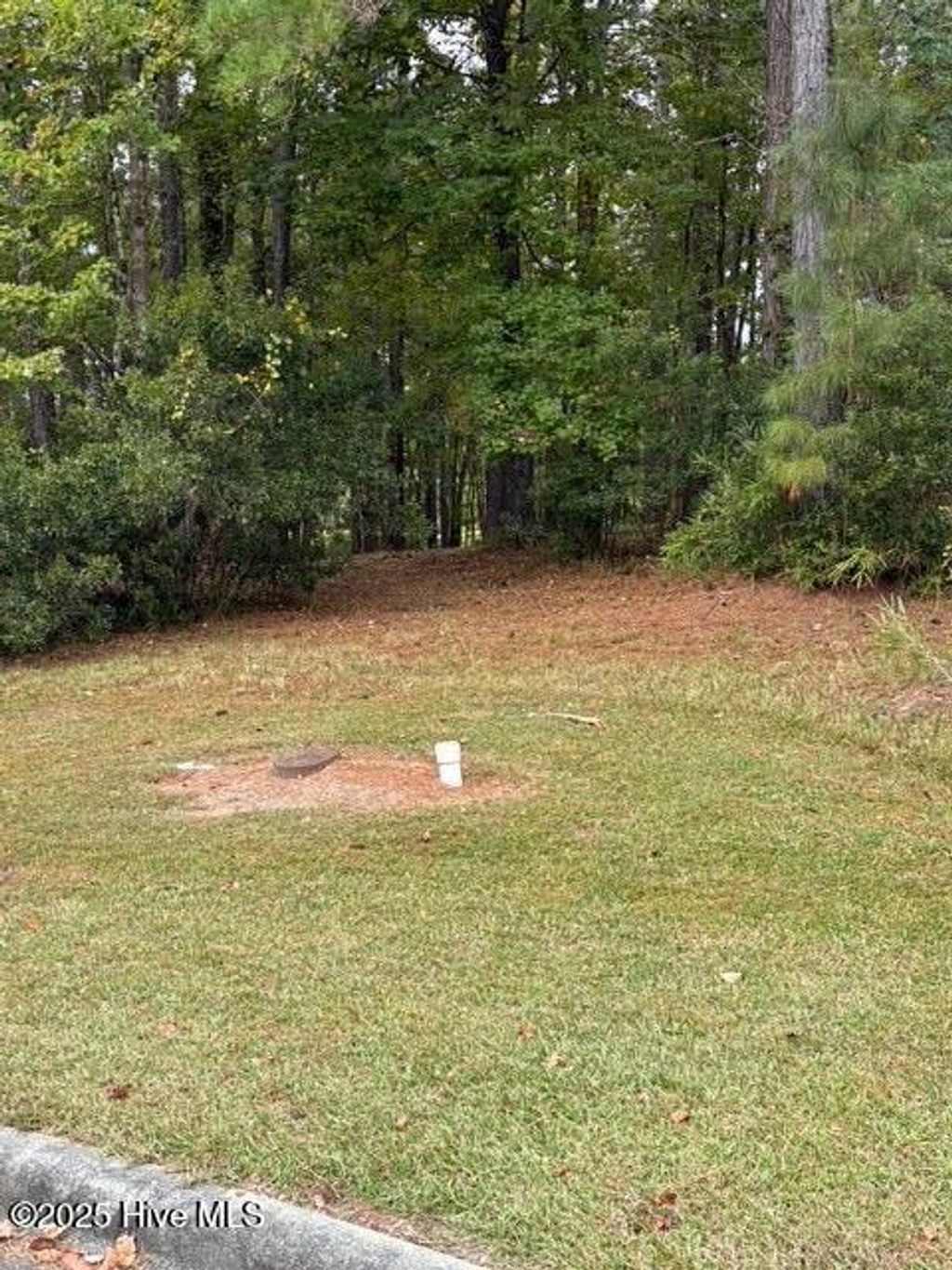 Photo of 3808 Lichen Lane, New Bern, NC 28562 (MLS # 100538300)
