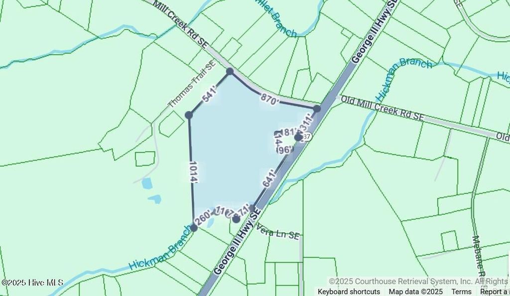 Photo of 2088 Hwy 87/Mill Creek, Bolivia, NC 28422 (MLS # 100541448)