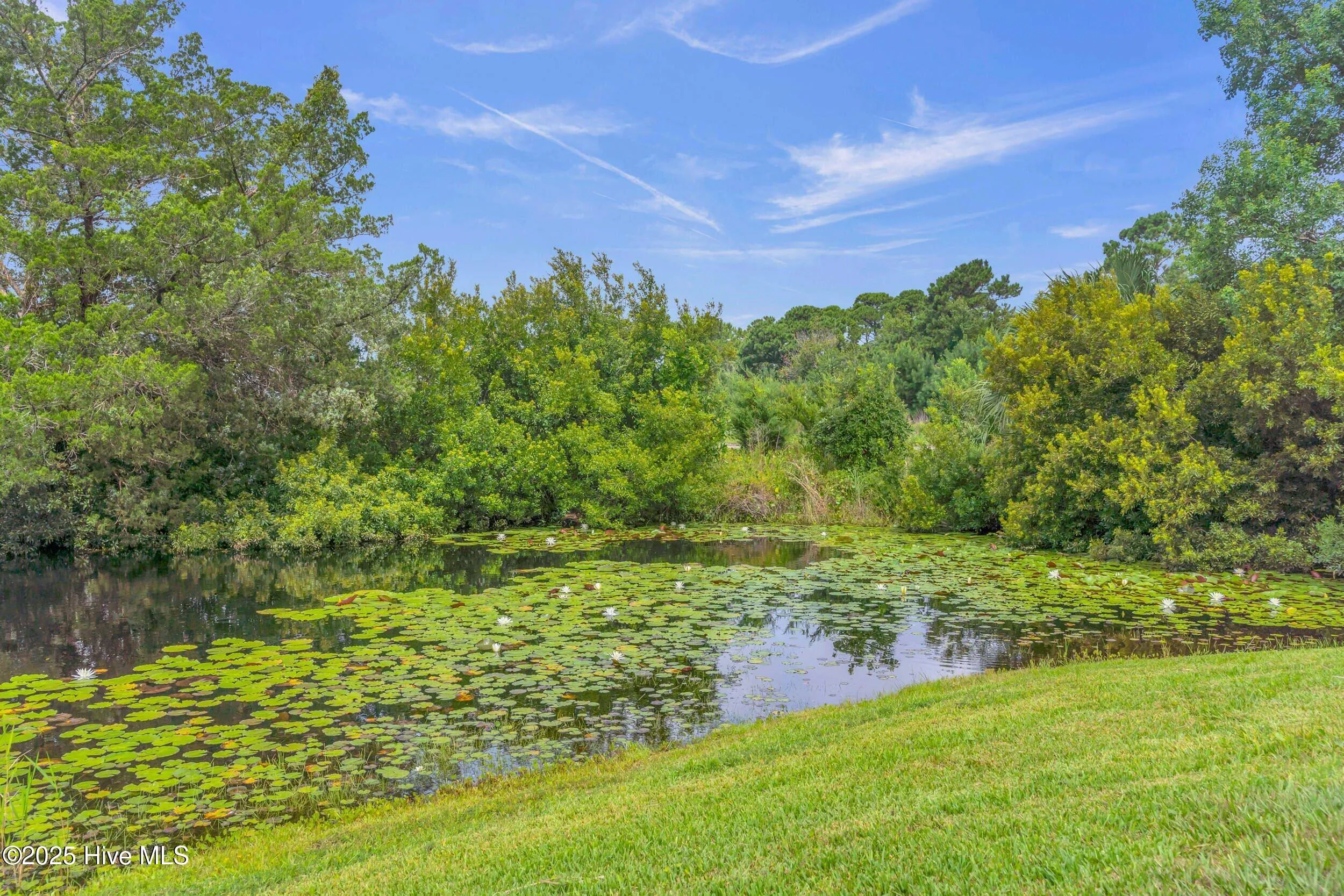 Wilmington, North Carolina 28412, United States, 3 Bedrooms Bedrooms, ,2 BathroomsBathrooms,Residential,Active,187952