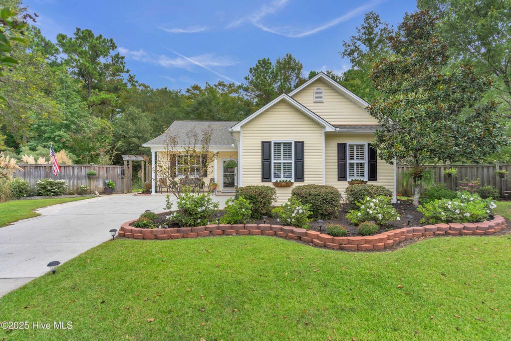 Photo of 316 Coralstone Court, Leland, NC 28451 (MLS # 100531049)