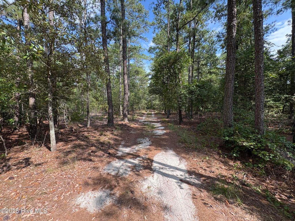 Photo of Tbd Mckenzie, Aberdeen, NC 28315 (MLS # 100525945)