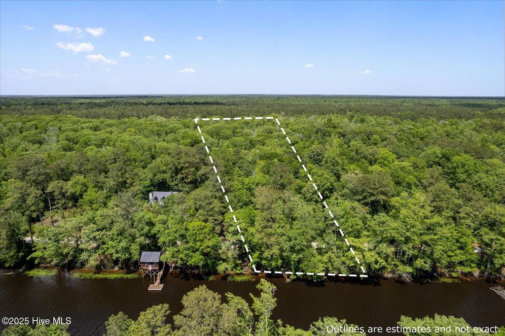 Photo of 0 Riverview Drive, Burgaw, NC 28425 (MLS # 100505655)
