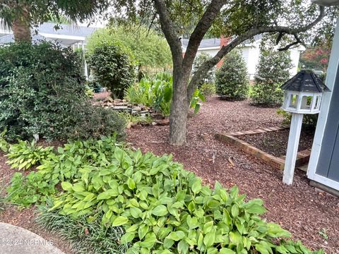 A home in Mount Olive