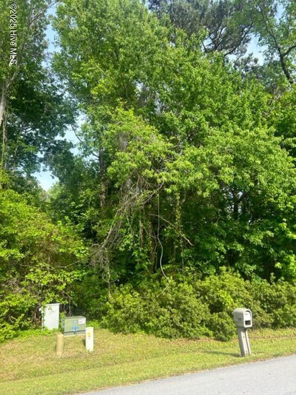 Photo of 154 Barrington Ridge, Bogue, NC 28570 (MLS # 100504580)