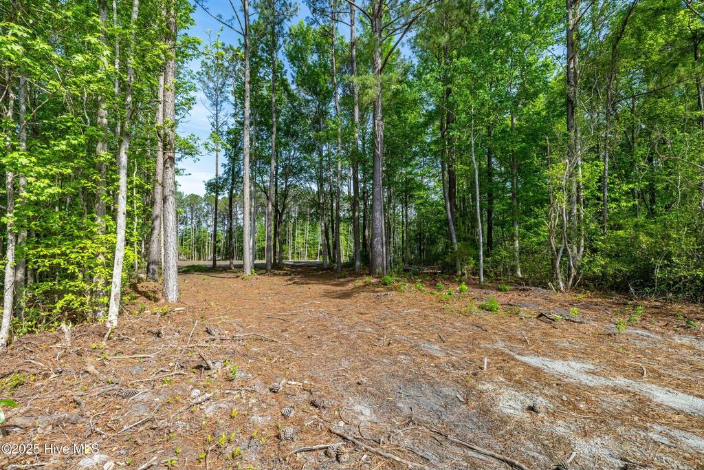 Photo of 216 Meadow Lane E, Hubert, NC 28539 (MLS # 100503919)