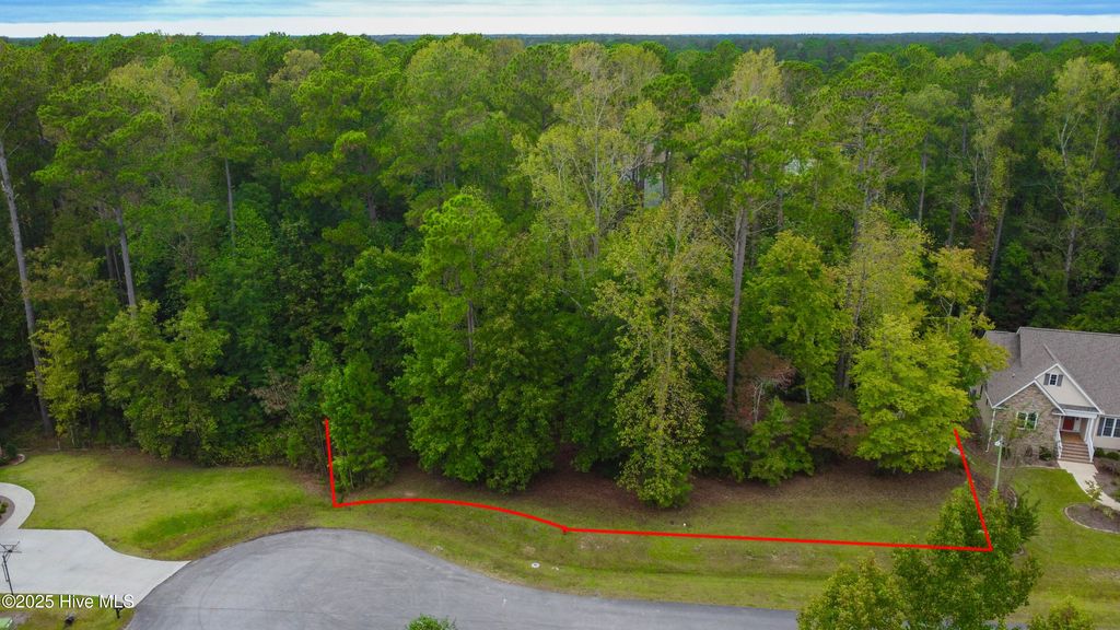 Photo of 4107 Sage Close, New Bern, NC 28562 (MLS # 100537060)