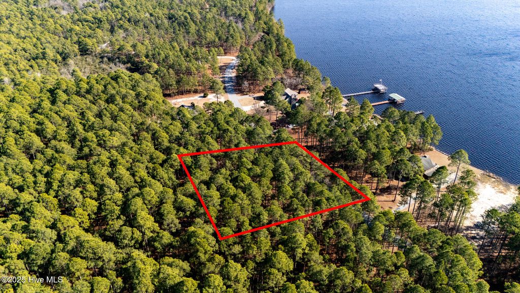 Photo of 0 N Horsepen Drive, Harrells, NC 28444 (MLS # 100486830)