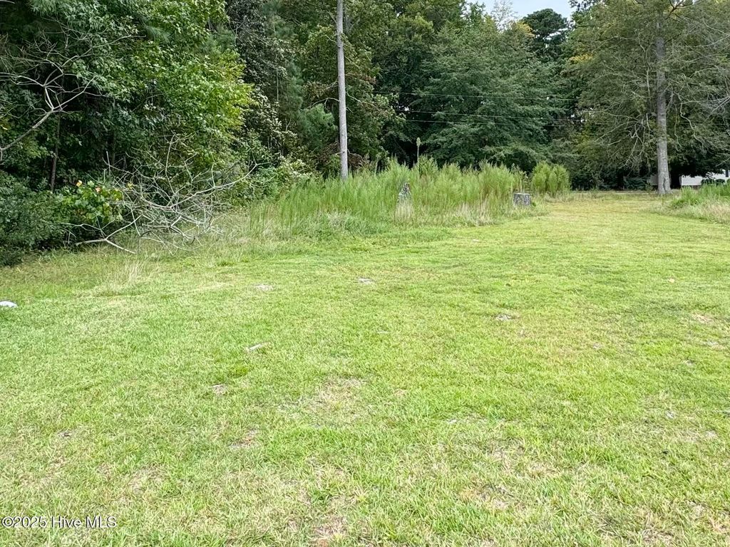 Photo of 179 Riverwood Drive Drive, Hertford, NC 27944 (MLS # 100529805)