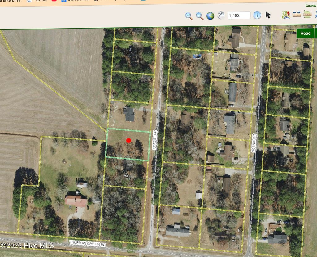 Photo of 1236 Forest Drive, Williamston, NC 27892 (MLS # 100528491)