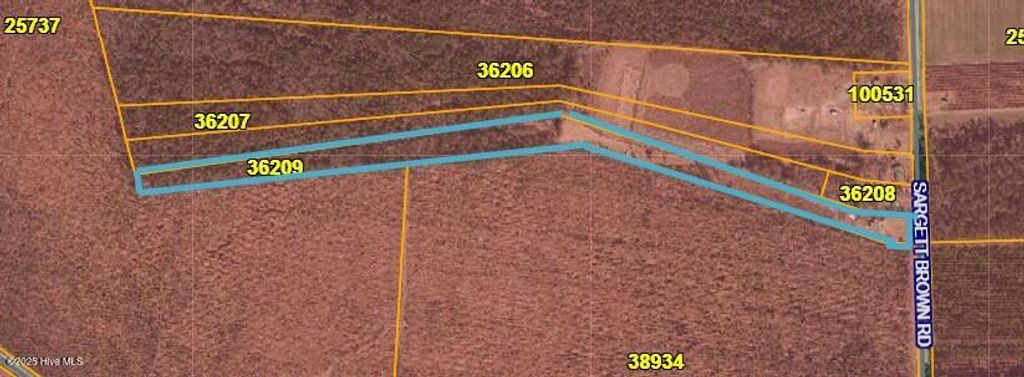 Photo of 3292 Sargett Brown Road, Deep Run, NC 28525 (MLS # 100538702)