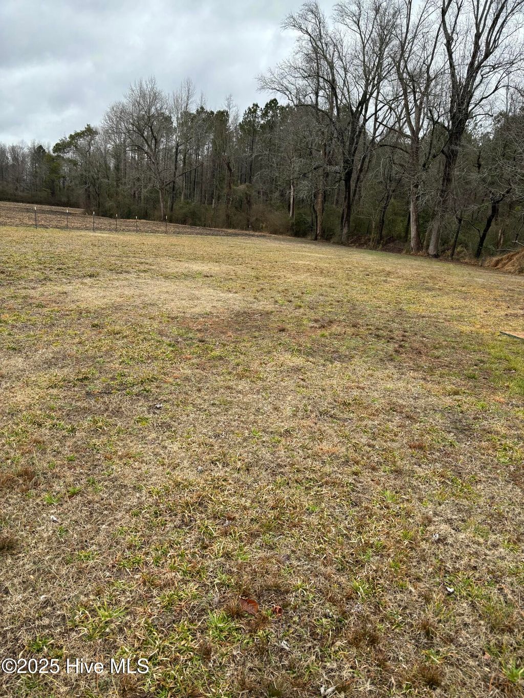 Photo of 1014 Harrells Loop Road, Jacksonville, NC 28540 (MLS # 100484635)