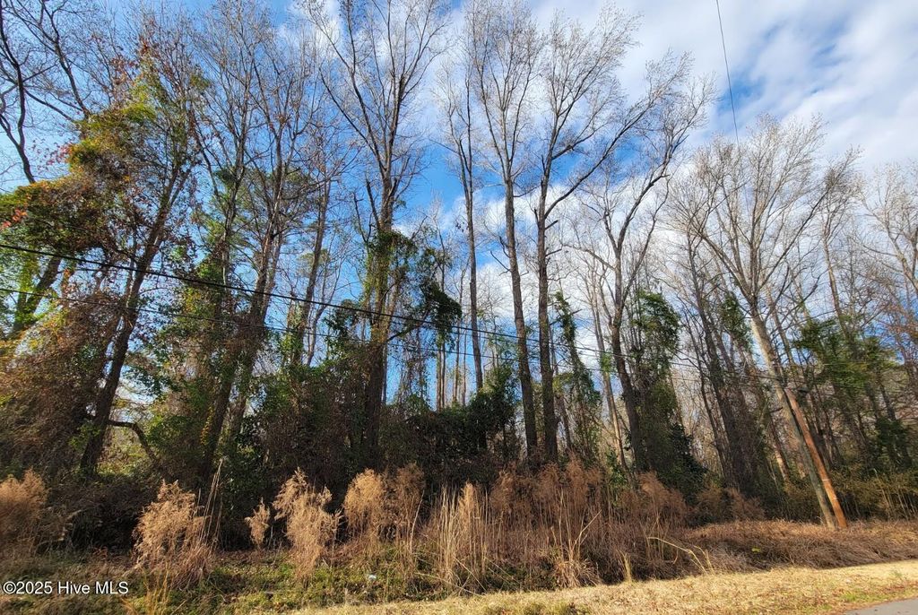 Photo of 0 Niblick Road, Grifton, NC 28530 (MLS # 100494631)