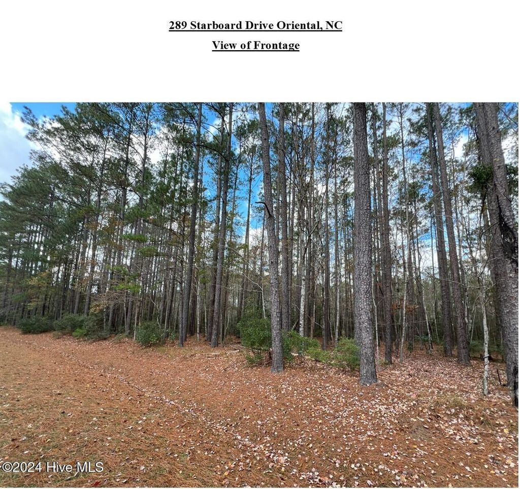 Photo of 289 Starboard Drive, Oriental, NC 28571 (MLS # 100479055)