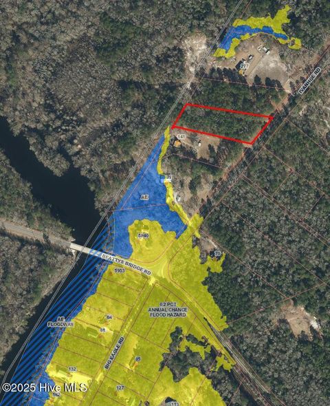 Tiny photo for 2 Ivanhoe Road, Atkinson, NC 28421 (MLS # 100528922)