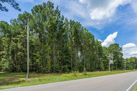Tiny photo for 2 Ivanhoe Road, Atkinson, NC 28421 (MLS # 100528922)