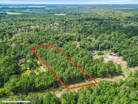 Photo of 2 Ivanhoe Road, Atkinson, NC 28421 (MLS # 100528922)