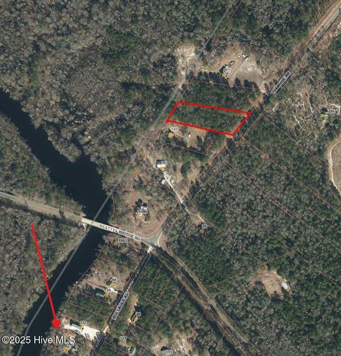Tiny photo for 2 Ivanhoe Road, Atkinson, NC 28421 (MLS # 100528922)