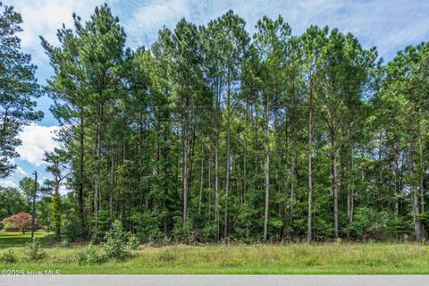 Tiny photo for 2 Ivanhoe Road, Atkinson, NC 28421 (MLS # 100528922)