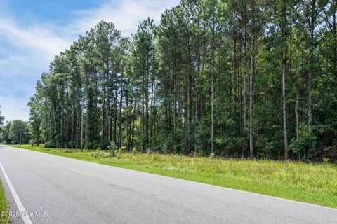 Tiny photo for 2 Ivanhoe Road, Atkinson, NC 28421 (MLS # 100528922)