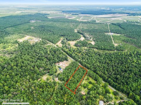 Tiny photo for 2 Ivanhoe Road, Atkinson, NC 28421 (MLS # 100528922)