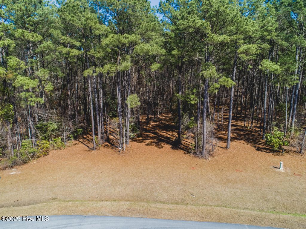 Photo of 94 Chickory Lane, Minnesott Beach, NC 28510 (MLS # 100467694)