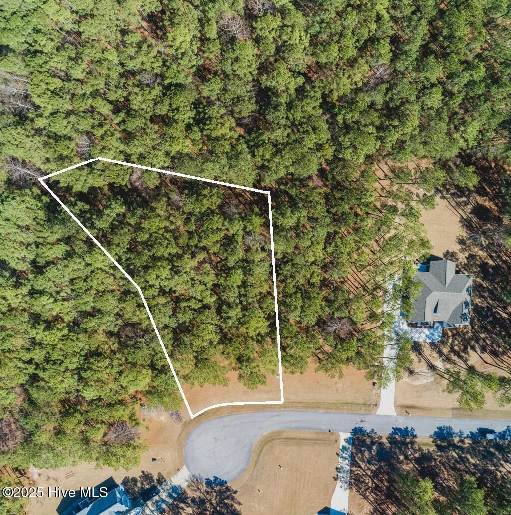 Photo of 94 Chickory Lane, Minnesott Beach, NC 28510 (MLS # 100467694)