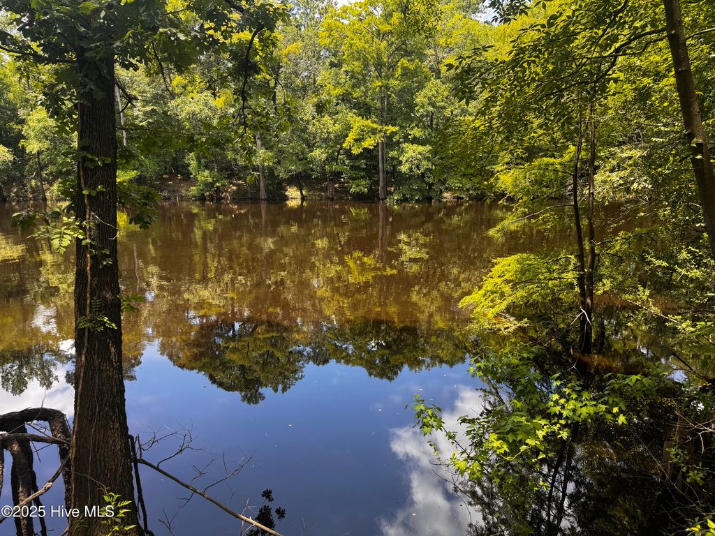 Photo of 765 River Bend Drive, Burgaw, NC 28425 (MLS # 100516776)