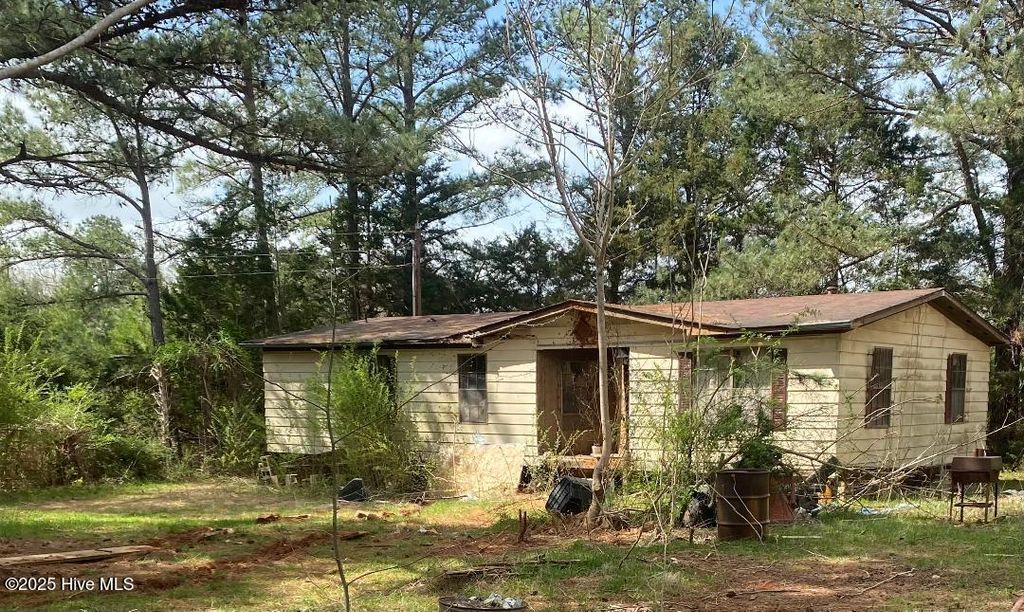 Photo of 365 Hamlet Road, Hollister, NC 27844 (MLS # 100542839)