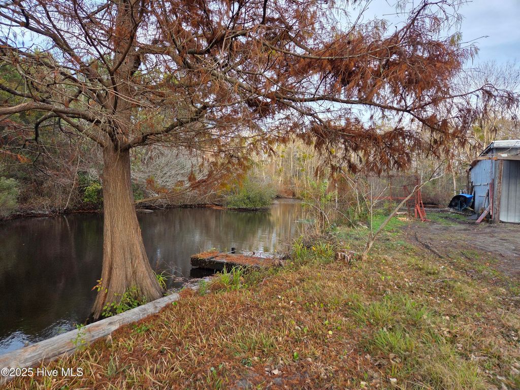 Photo of 323 E Chatham Street, Newport, NC 28570 (MLS # 100543408)