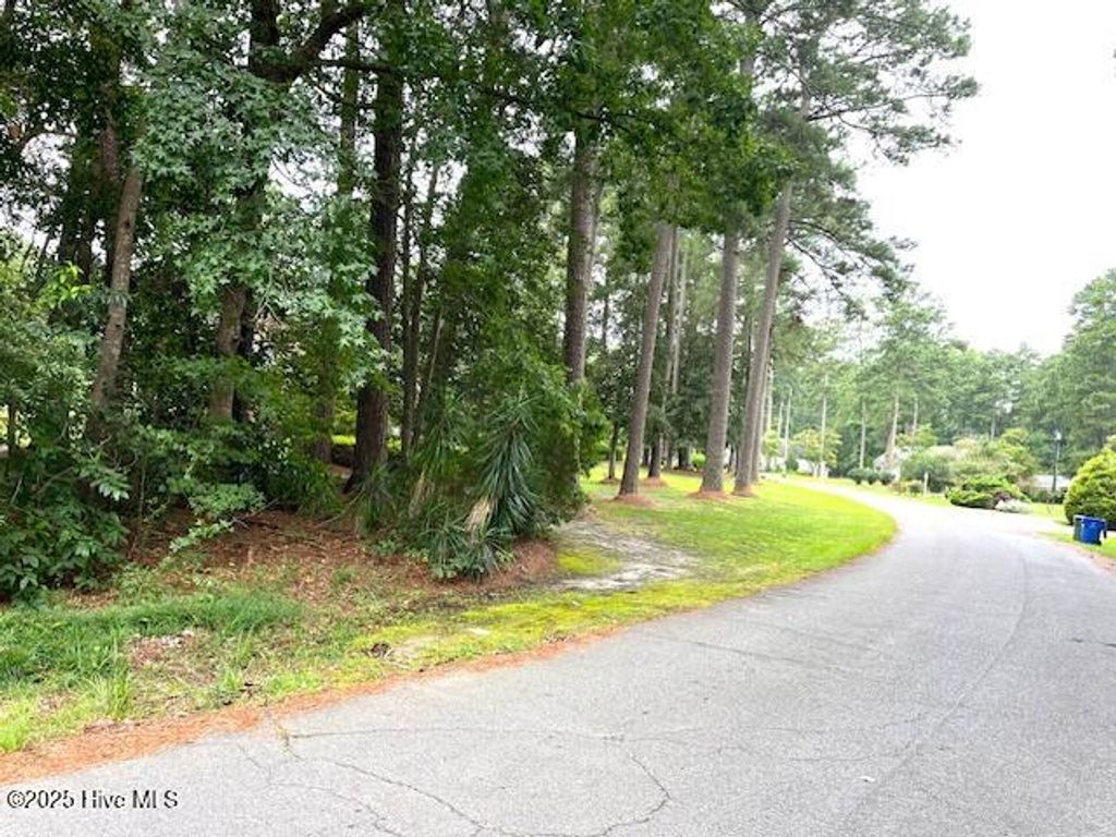 Photo of 317 Crestwood Circle, Pinetops, NC 27864 (MLS # 100524601)