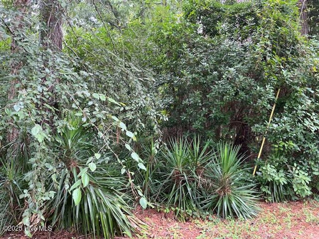 Photo of 317 Crestwood Circle, Pinetops, NC 27864 (MLS # 100524601)
