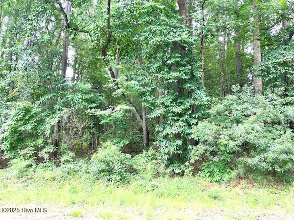 Photo of 317 Crestwood Circle, Pinetops, NC 27864 (MLS # 100524601)