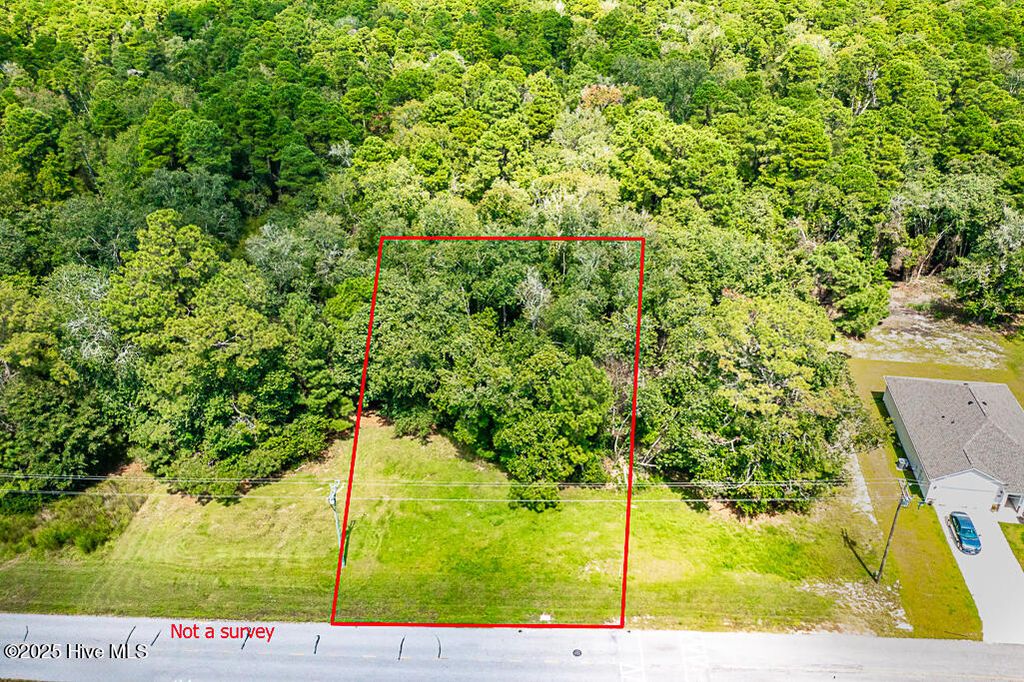 Photo of 1610 Caracara Drive, New Bern, NC 28560 (MLS # 100528901)