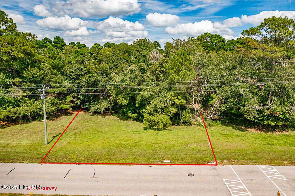 Photo of 1610 Caracara Drive, New Bern, NC 28560 (MLS # 100528901)