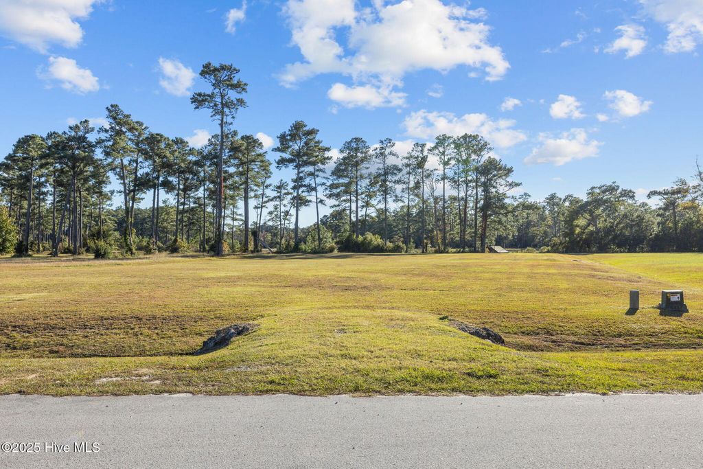 Photo of 212 Settlement Lane, Newport, NC 28570 (MLS # 100537360)