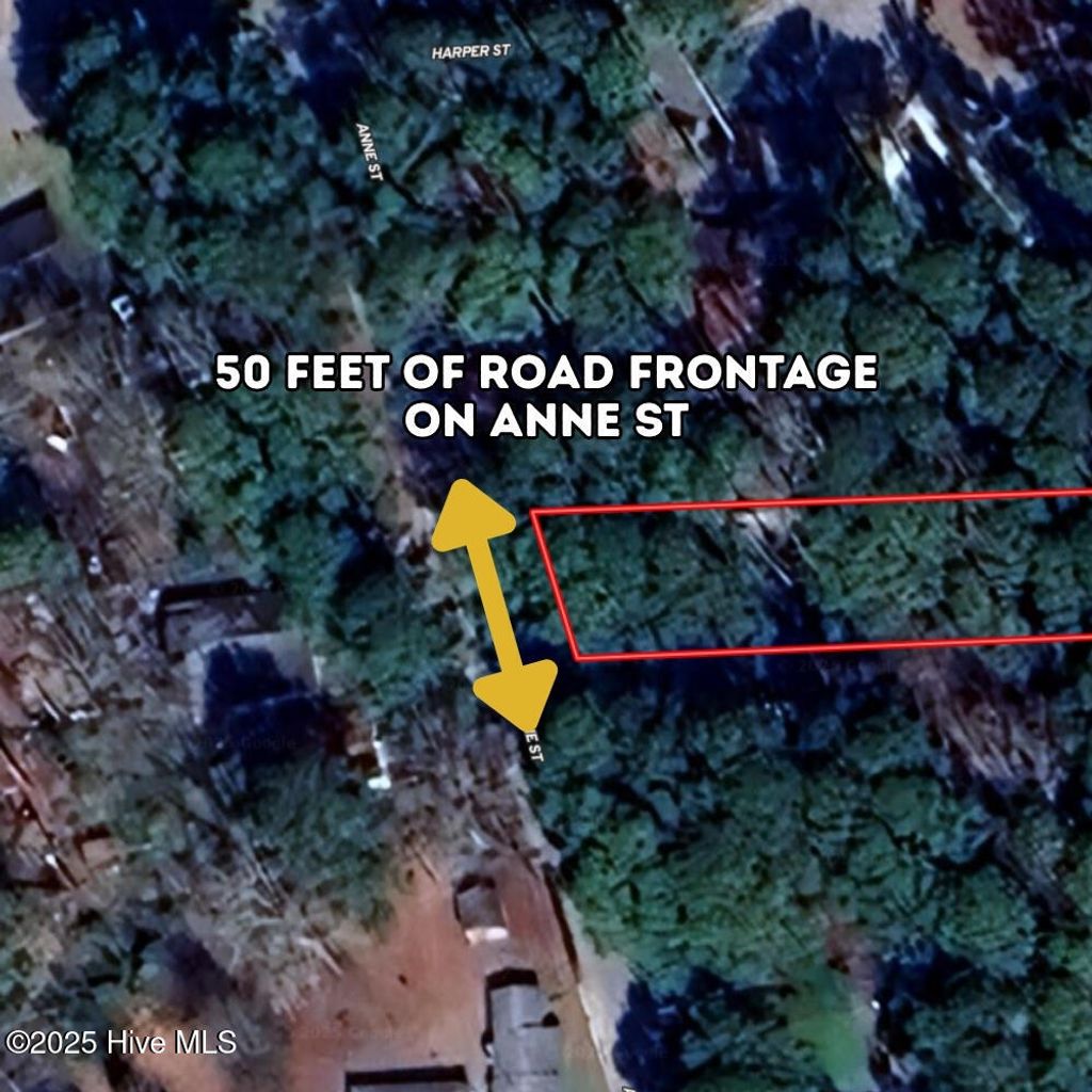 Photo of 1319 Anne Street, Rocky Mount, NC 27801 (MLS # 100532067)