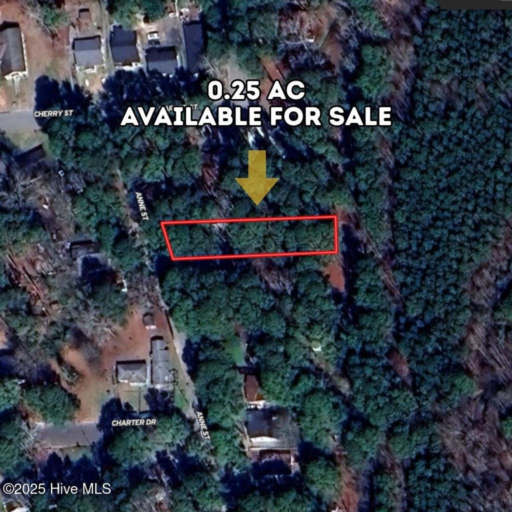 Photo of 1319 Anne Street, Rocky Mount, NC 27801 (MLS # 100532067)