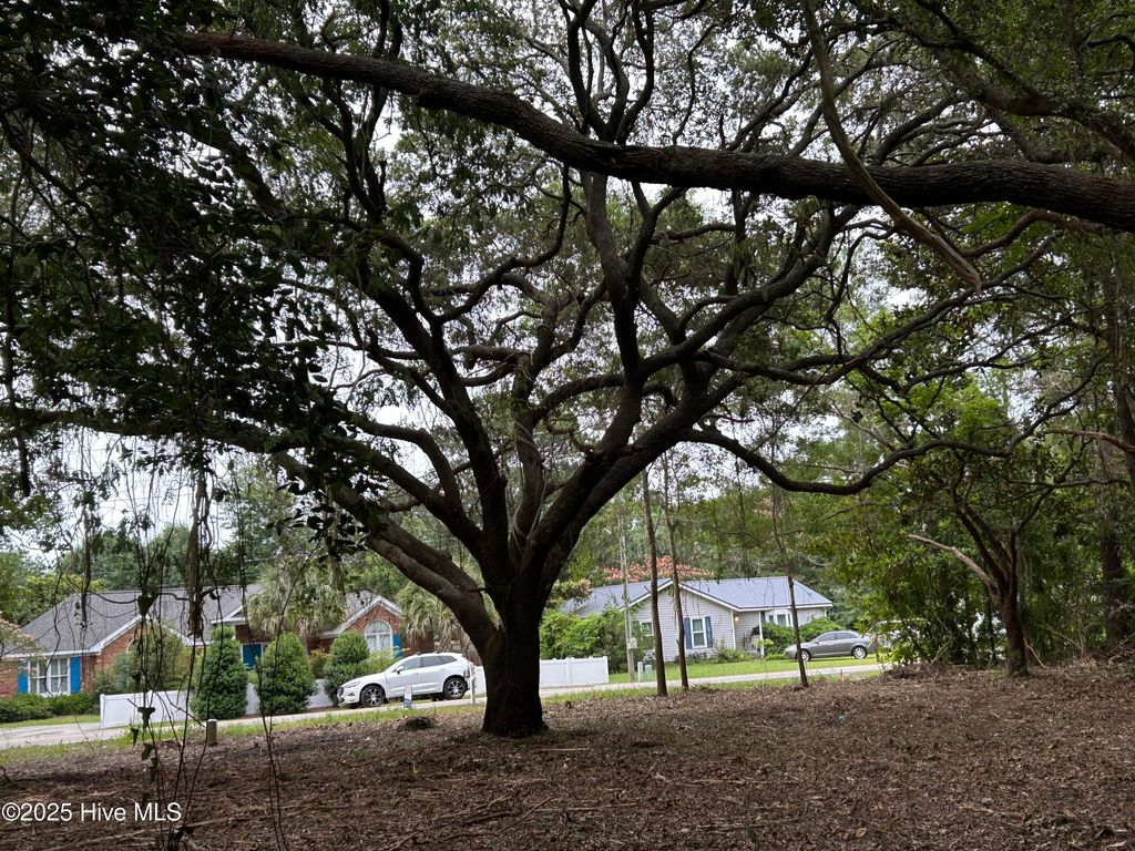 Photo of 11282 Beasley Road, Wilmington, NC 28409 (MLS # 100420028)