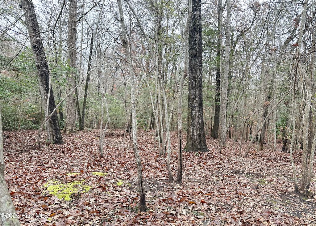 Photo of 1312 Fairbanks Court, Jacksonville, NC 28546 (MLS # 100544373)