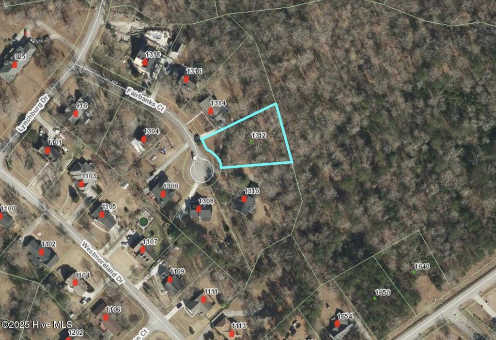 Photo of 1312 Fairbanks Court, Jacksonville, NC 28546 (MLS # 100544373)