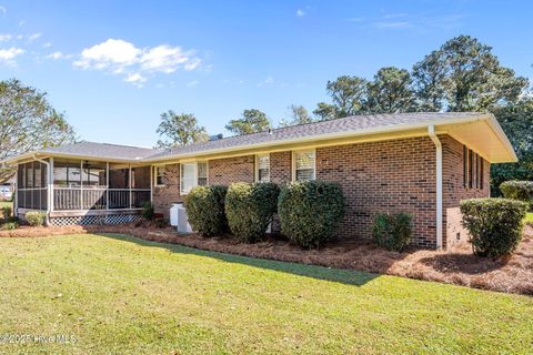 Tiny photo for 235 Comfort Road, Richlands, NC 28574 (MLS # 100543194)