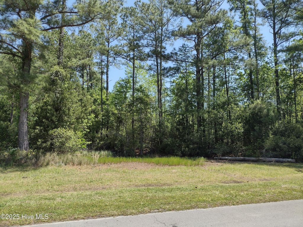 Photo of 5105 Bucco Reef Road, New Bern, NC 28560 (MLS # 100512770)