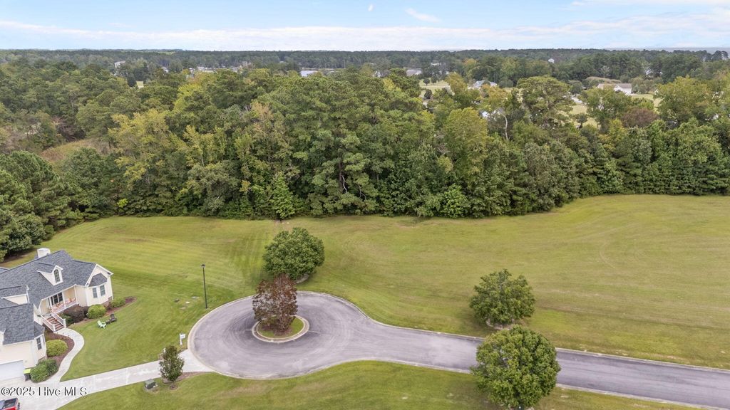 Photo of 108 N Elbert Lee Road N, Arapahoe, NC 28510 (MLS # 100533548)