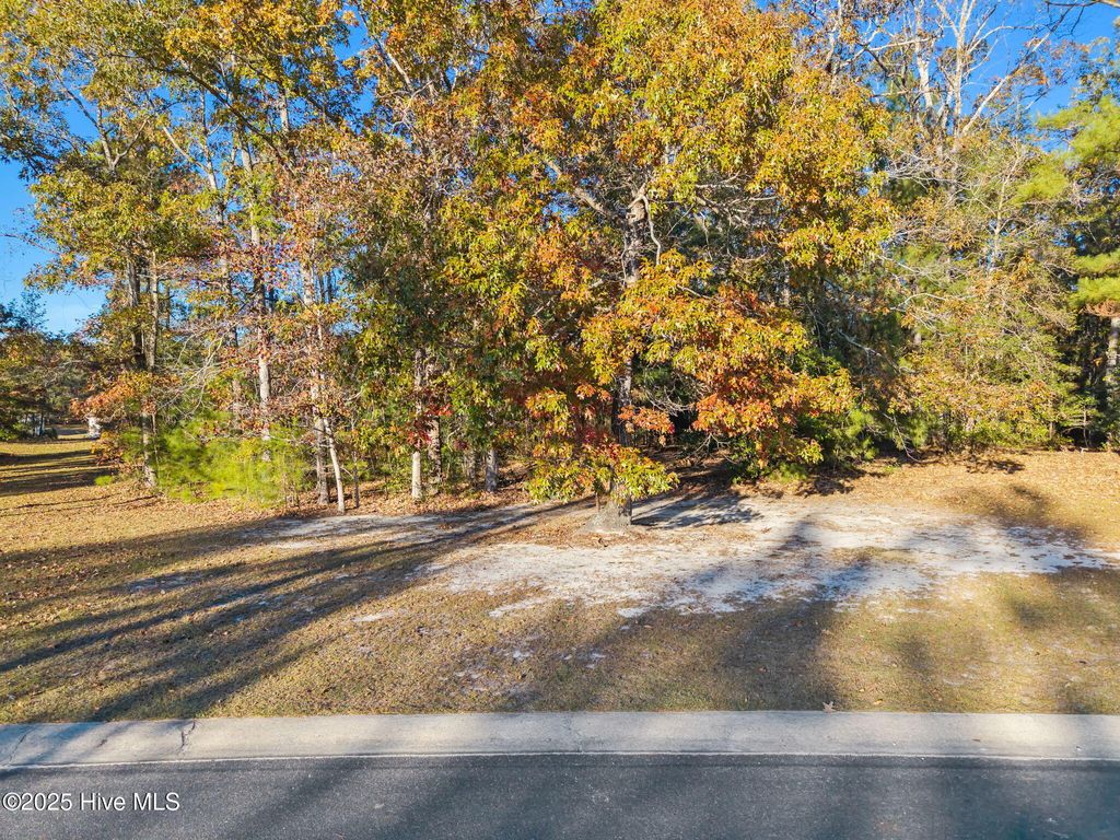 Photo of 1142 Natal Drive SE, Bolivia, NC 28422 (MLS # 100541361)