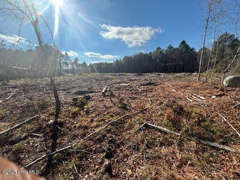 Photo of 0 Crepe Myrtle Court, Wilson, NC 27896 (MLS # 100543967)