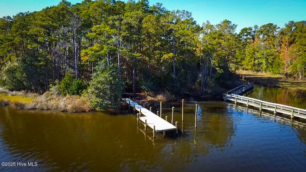 Photo of 177 Carolina Way, Arapahoe, NC 28510 (MLS # 100540736)